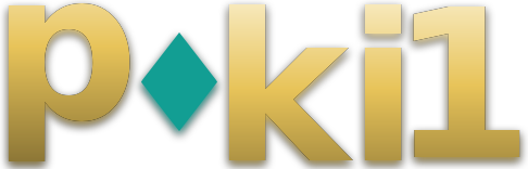 poki1 logo